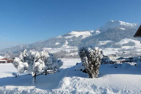 Panoramablick zum Kitzbüheler Horn